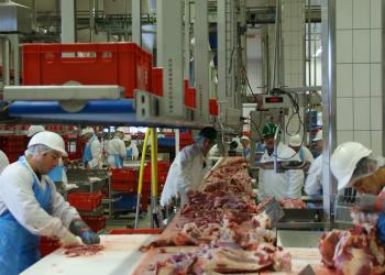 Meat Cutter / Butcher (sheep, lamb, mutton)